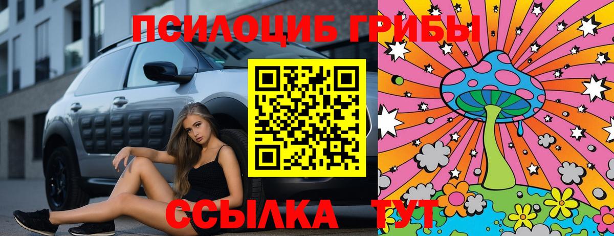Галлюциногенные грибы Magic Shrooms Железногорск