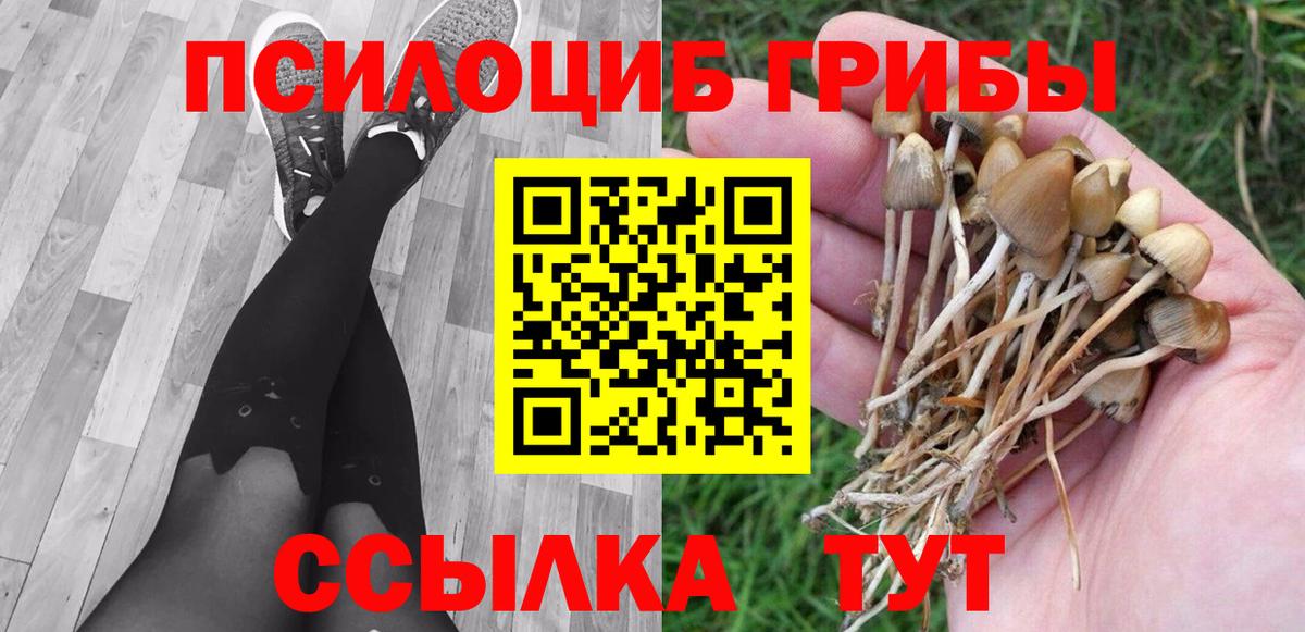 Галлюциногенные грибы GOLDEN TEACHER  Вход с VPN  наркошоп  Железногорск 